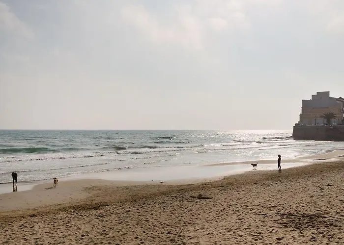 In Centrum Close To The * Sitges