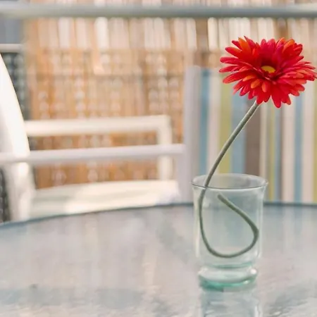 In Centrum Close To The