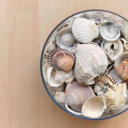 In Centrum Close To The Apartment Sitges