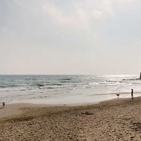 In Centrum Close To The * Sitges